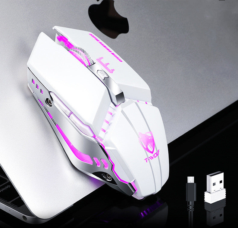 Wireless Silent RGB Gaming Mouse - 3000 DPI, 6 Buttons, USB Rechargeable | Black, Star Black & White