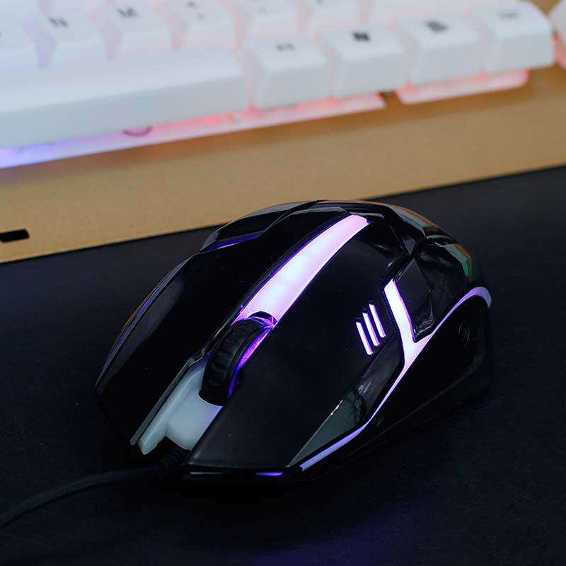 Wired USB Optical Mouse - 800 DPI Ergonomic 3-Button Mouse for Office & Home