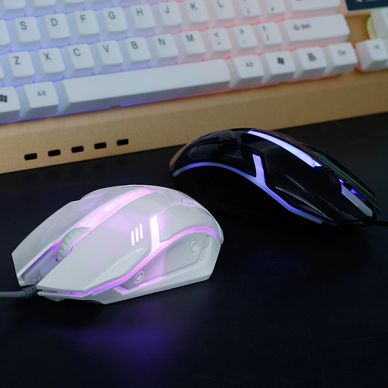 Wired USB Optical Mouse - 800 DPI Ergonomic 3-Button Mouse for Office & Home