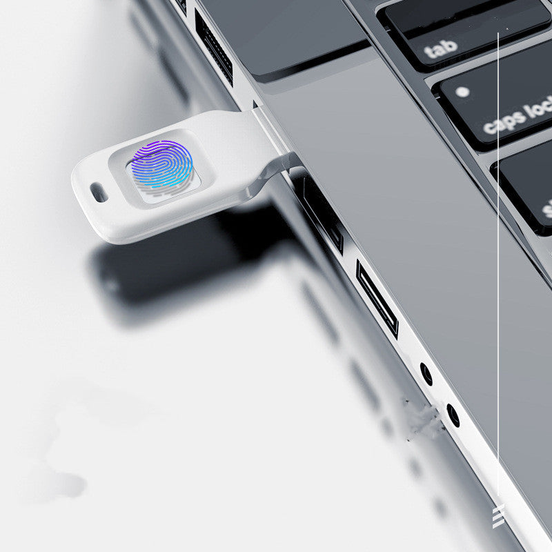 fingerprint-input-into-encrypted-u-disk