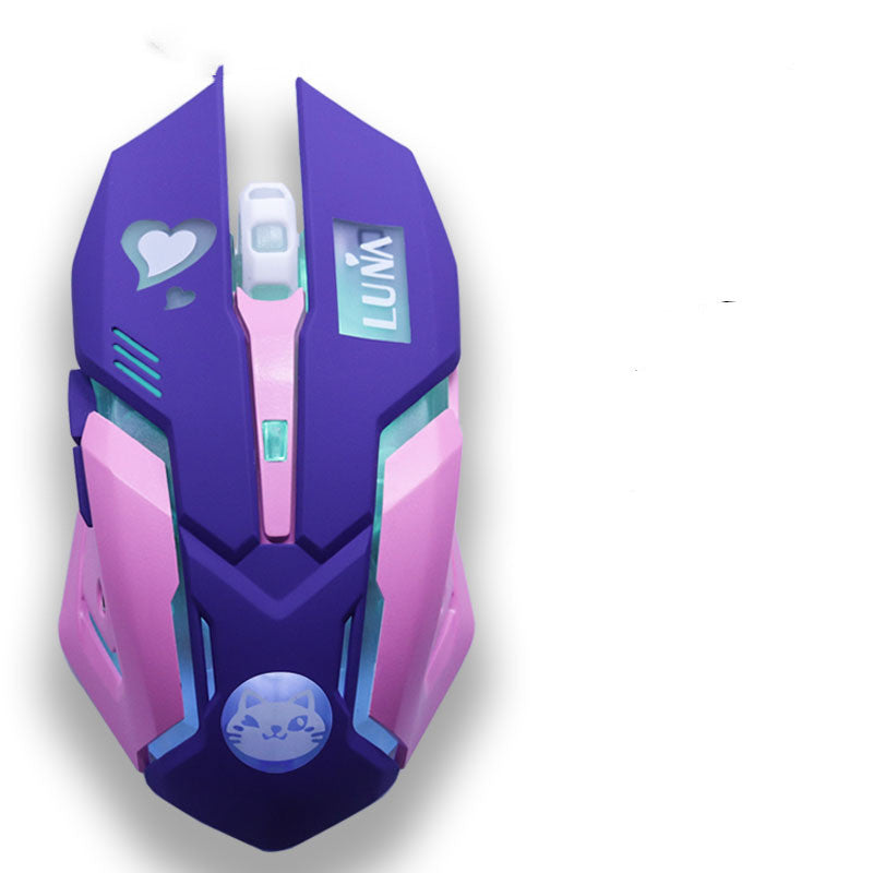 Silent Wireless Gaming Mouse - 2400 DPI, 6 Buttons | Pink & Blue