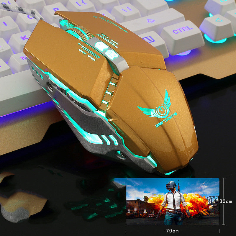 G18 Wired Gaming Mouse - 3200 DPI, 8-Button Macro, 10M Switch Life, Braided Cable | Gold