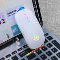 Silent Rechargeable Wireless Mouse - 1600 DPI, Four-Way Scroll, 2.4GHz | White, Silver, Black & Rose