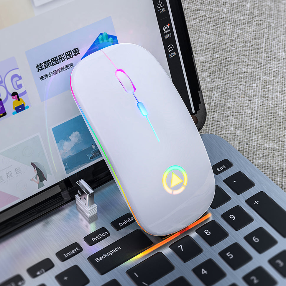 Silent Rechargeable Wireless Mouse - 1600 DPI, Four-Way Scroll, 2.4GHz | White, Silver, Black & Rose