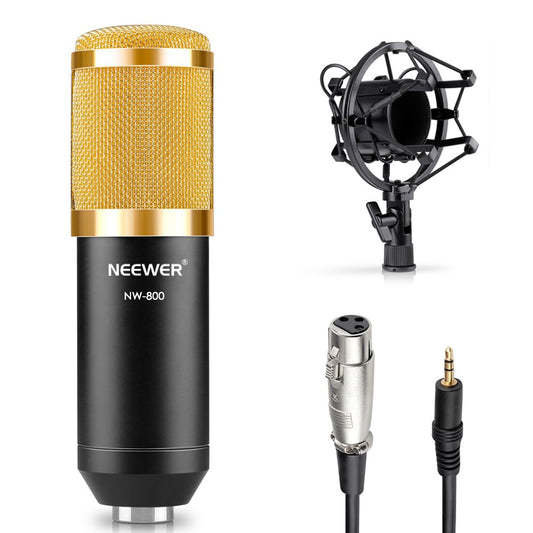 nw-800-condenser-microphone-shock-mount-power-cab