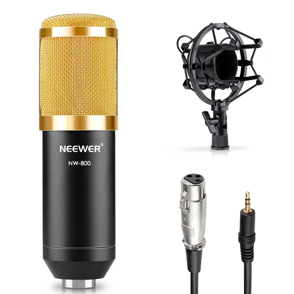 nw-800-condenser-microphone-shock-mount-power-cab