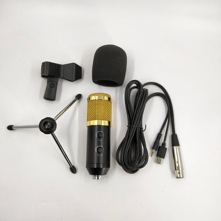 reverb-bm800-microphone