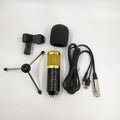 reverb-bm800-microphone