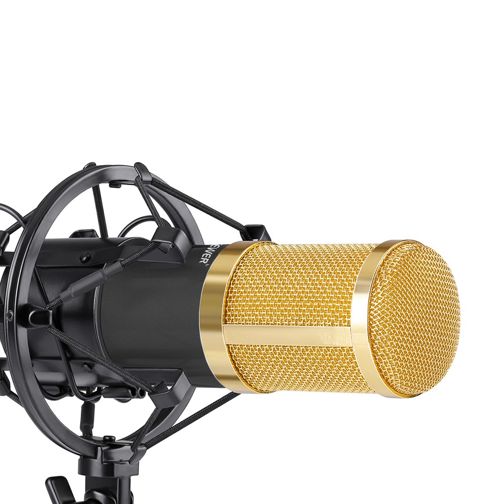 nw-800-condenser-microphone-shock-mount-power-cab