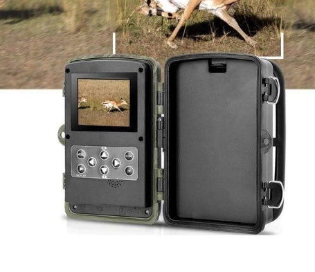 wild-hunting-camera