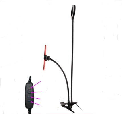anchor-mobile-phone-frame-fill-light-mobile-phone-live-support-network-red-live-anchor-fill-light-bracket