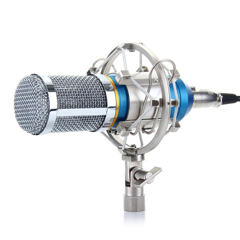 nw-800-condenser-microphone-shock-mount-power-cab