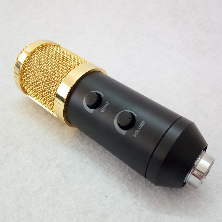 reverb-bm800-microphone