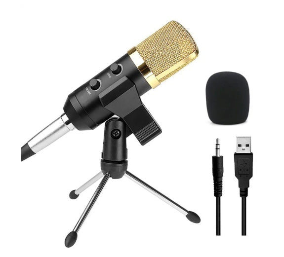 reverb-bm800-microphone