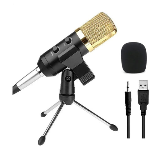reverb-bm800-microphone