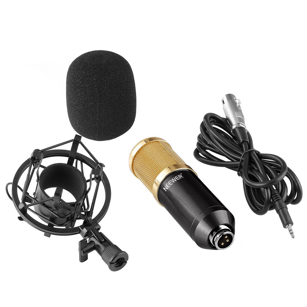nw-800-condenser-microphone-shock-mount-power-cab