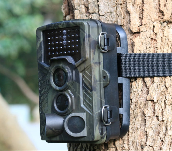 wild-hunting-camera