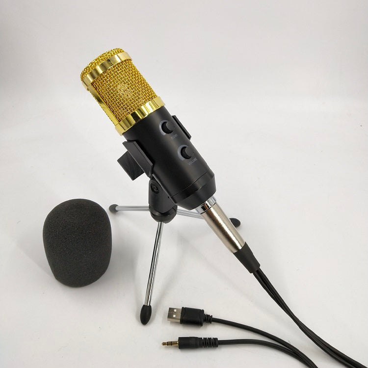 reverb-bm800-microphone