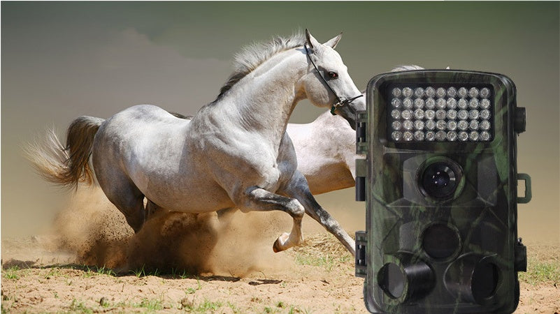 wild-hunting-camera