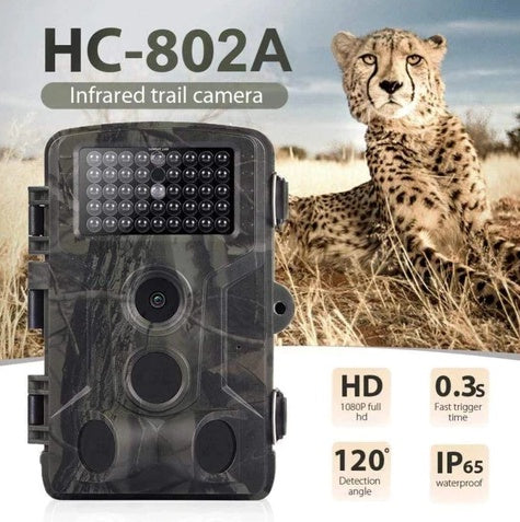 wild-hunting-camera