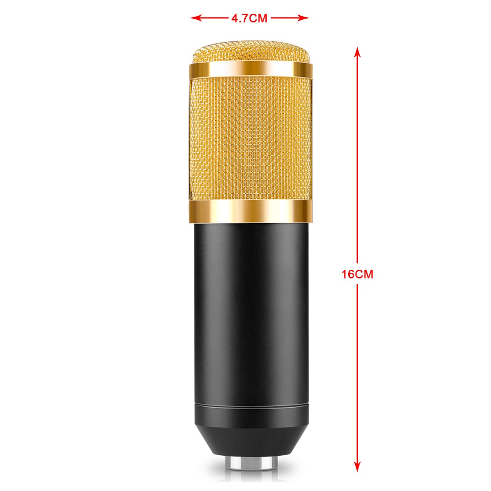 nw-800-condenser-microphone-shock-mount-power-cab