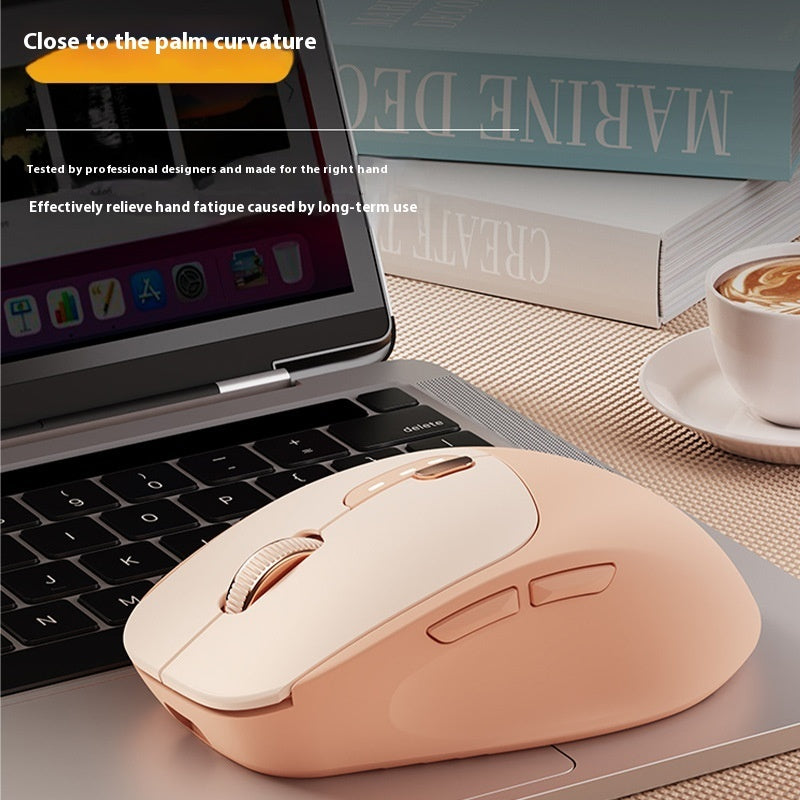 Q5 Silent Wireless Mouse - 5 Buttons | 2.4GHz or Dual-Mode Bluetooth | Matcha, Milk Tea, Sky Blue & More