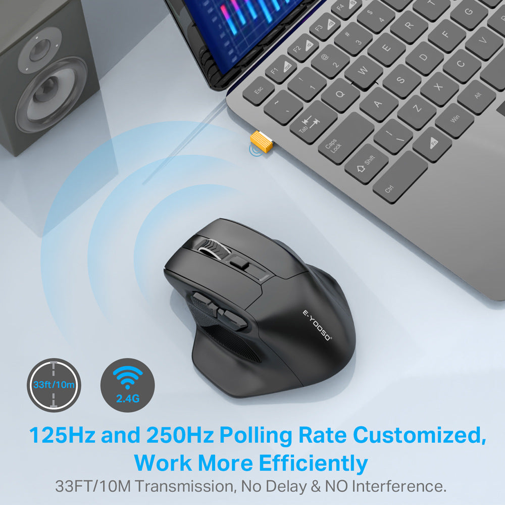 X-31 Wireless Optical Mouse - Full-Size, USB Receiver, AA Battery | Black