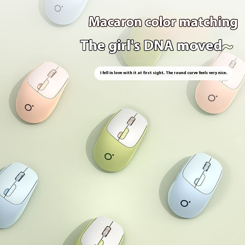 Q5 Silent Wireless Mouse - 5 Buttons | 2.4GHz or Dual-Mode Bluetooth | Matcha, Milk Tea, Sky Blue & More